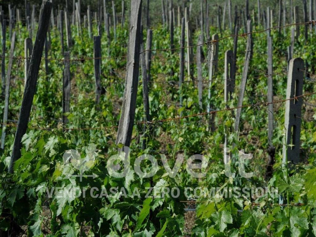 Rustico / casale a Montepulciano in Via Madonna della Querce, 21 - Foto 4