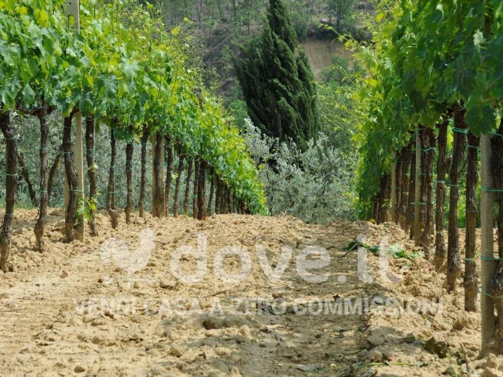 Rustico / casale a Montepulciano in Via Madonna della Querce, 21 - Foto 5