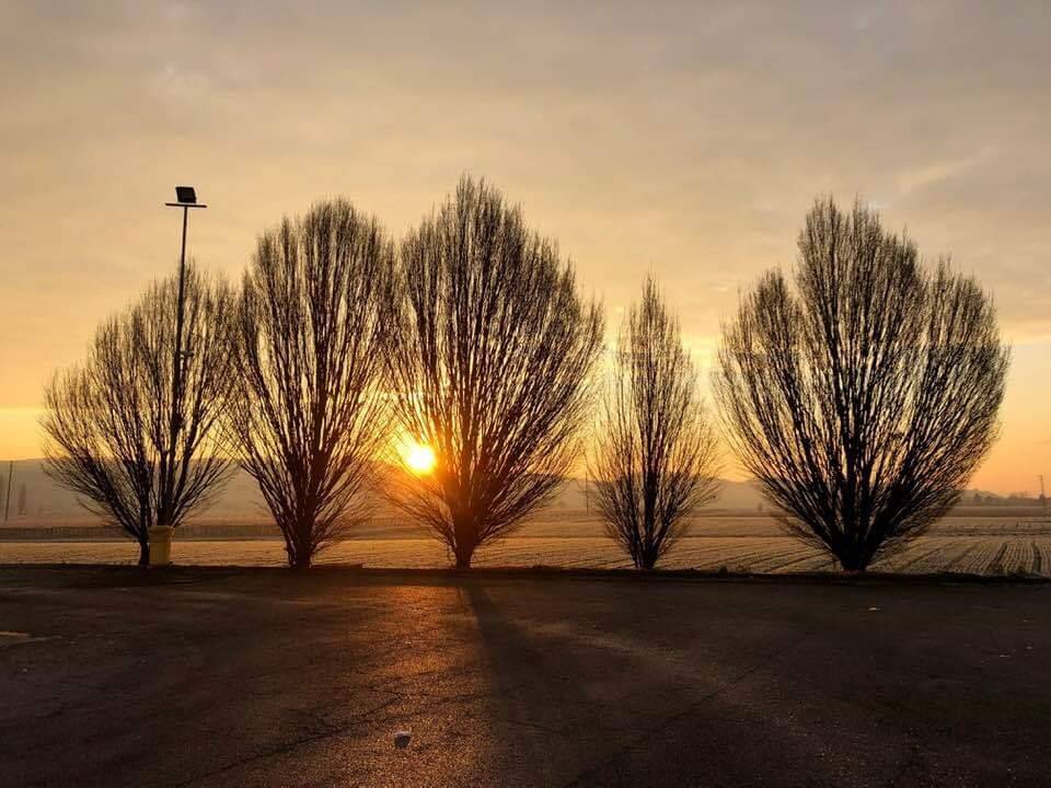 Casa indipendente a Lonigo - Foto 3