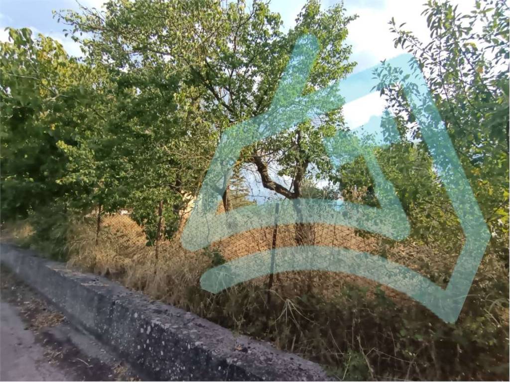 Immobile a Pietrelcina in Stazione*** - Foto 5