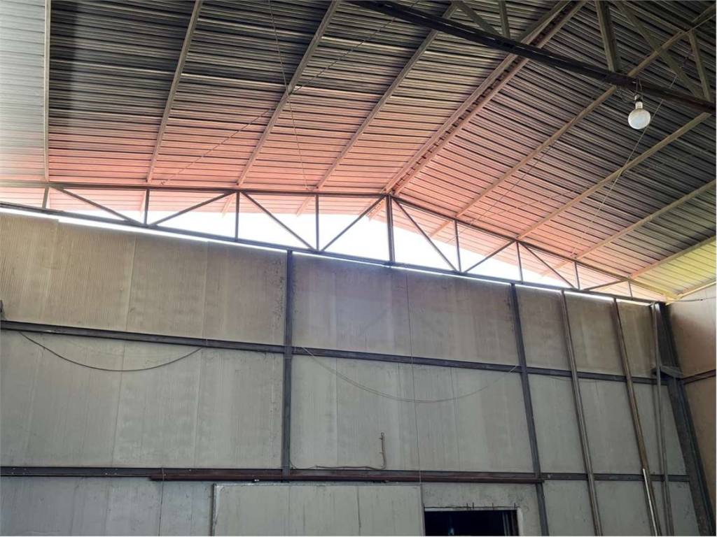 Immobile a Apice in contrada Tignano - Foto 4