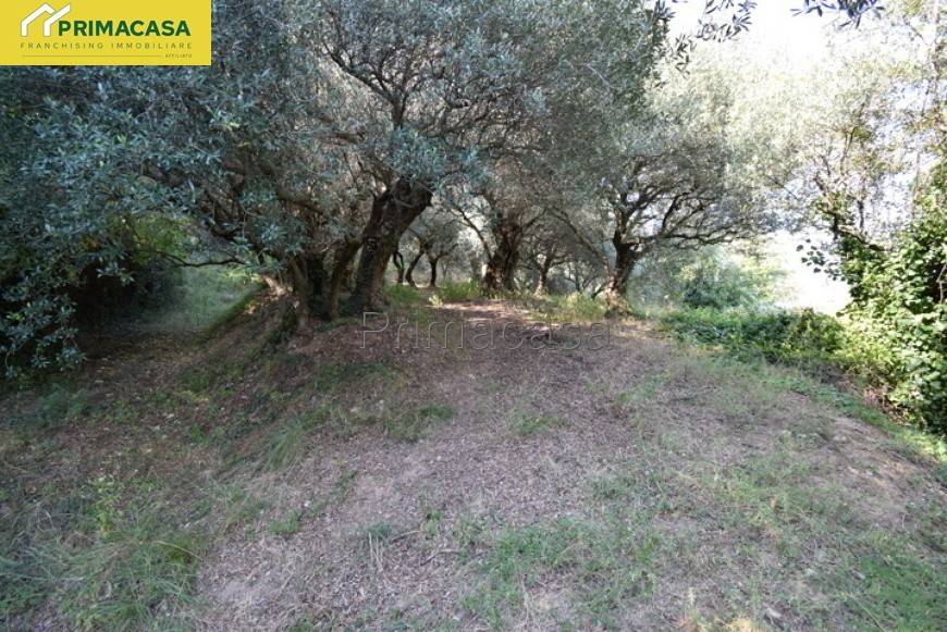 Terreno a Verona in Via Carbonare - Foto 3