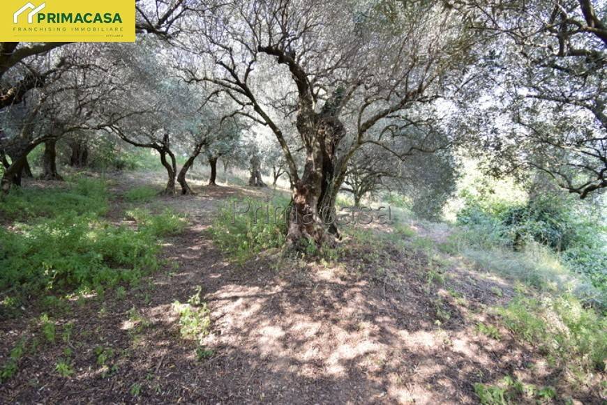 Terreno a Verona in Via Carbonare - Foto 4