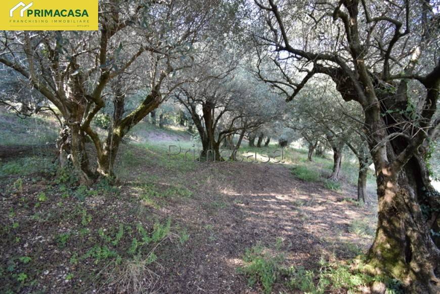 Terreno a Verona in Via Carbonare - Foto 5