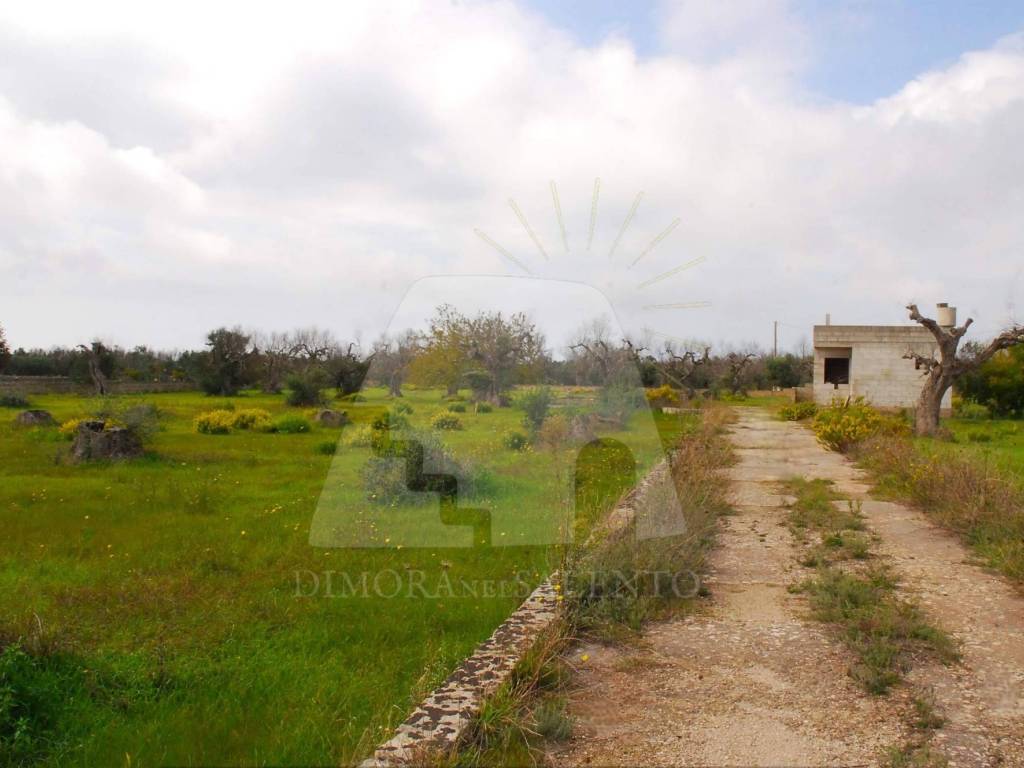 Terreno a Gagliano del capo in Strada Provinciale Lecce Santa Maria di Leuca - Foto 2