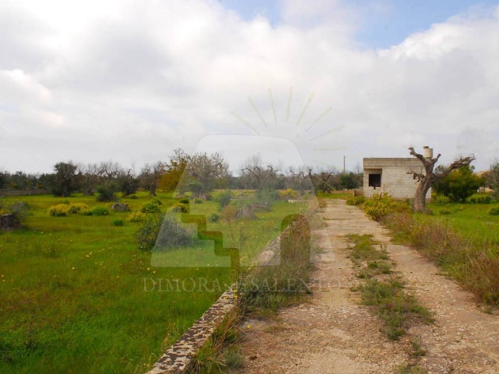 Terreno a Gagliano del capo in Strada Provinciale Lecce Santa Maria di Leuca - Foto 3