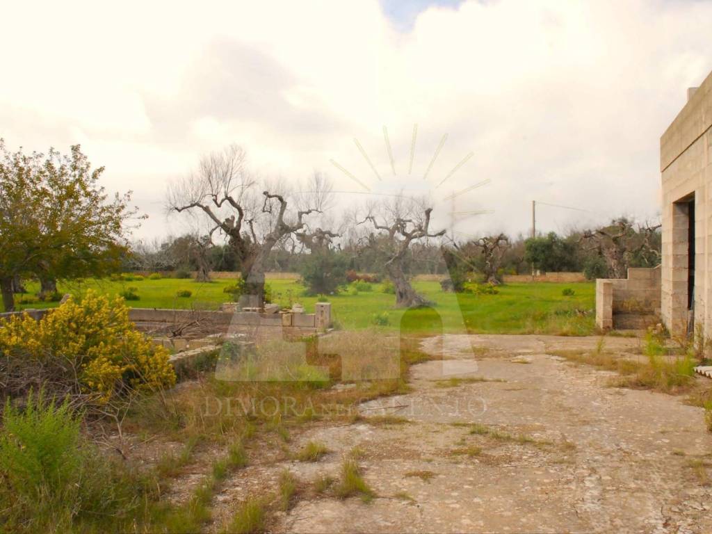 Terreno a Gagliano del capo in Strada Provinciale Lecce Santa Maria di Leuca - Foto 5