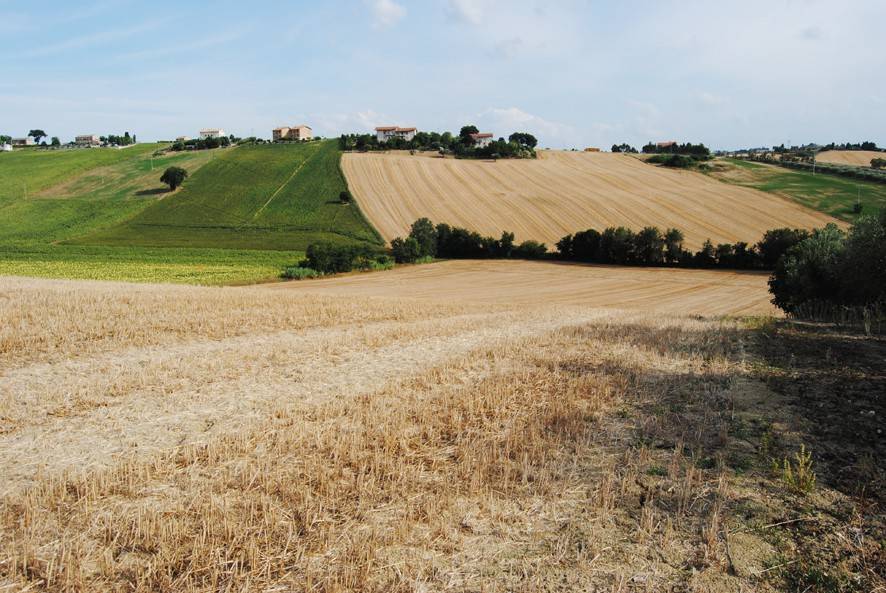 Rustico / casale a Recanati - Foto 5