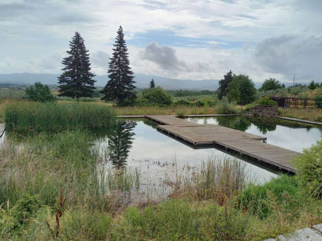 Immobile a Arezzo in loc.Talzano - Foto 5