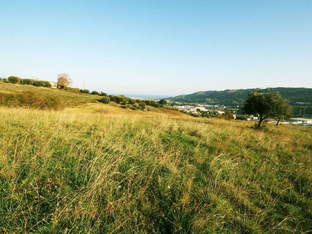 Terreno a Grottammare in Strada Provinciale Valtesino - Foto 4