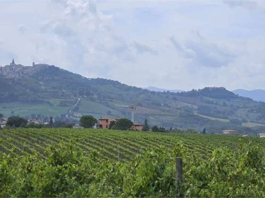 Rustico / casale a Todi in loc. bodoglie - Foto 3