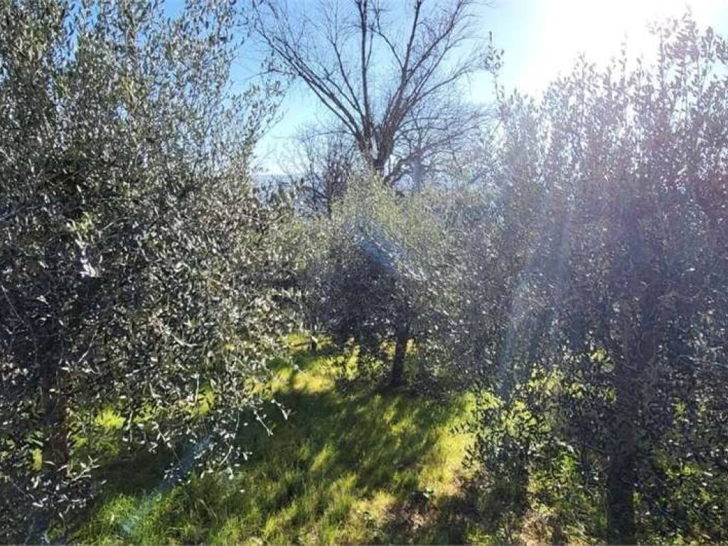Terreno a Todi in SANT'ARCANGELO, 0 - Foto 5
