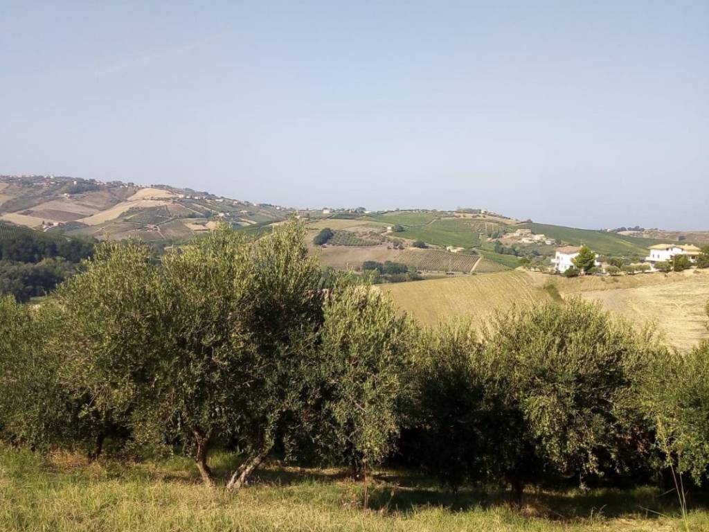 Terreno a Silvi in Strada Comunale Atri - Foto 2