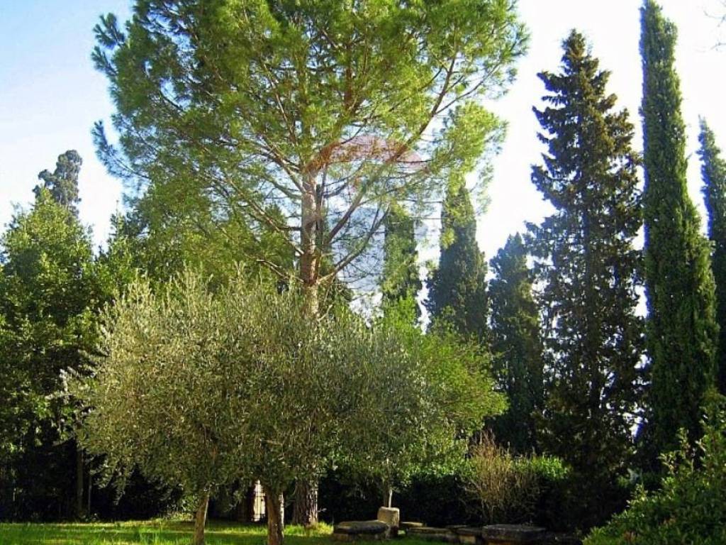 Villa a Appignano - Foto 2