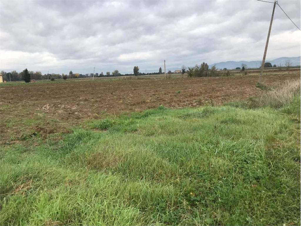 Terreno a Cannara - Foto 2