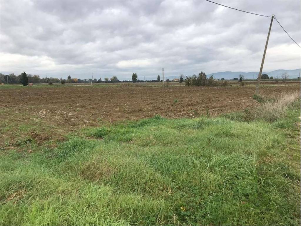 Terreno a Cannara - Foto 3