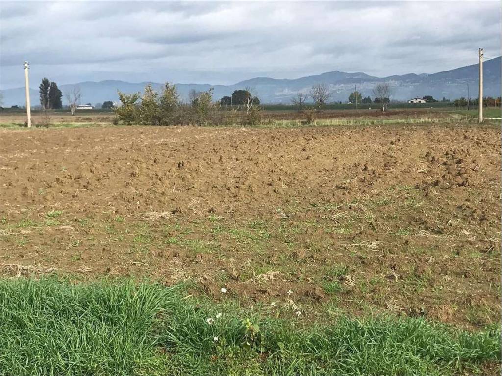Terreno a Cannara - Foto 4