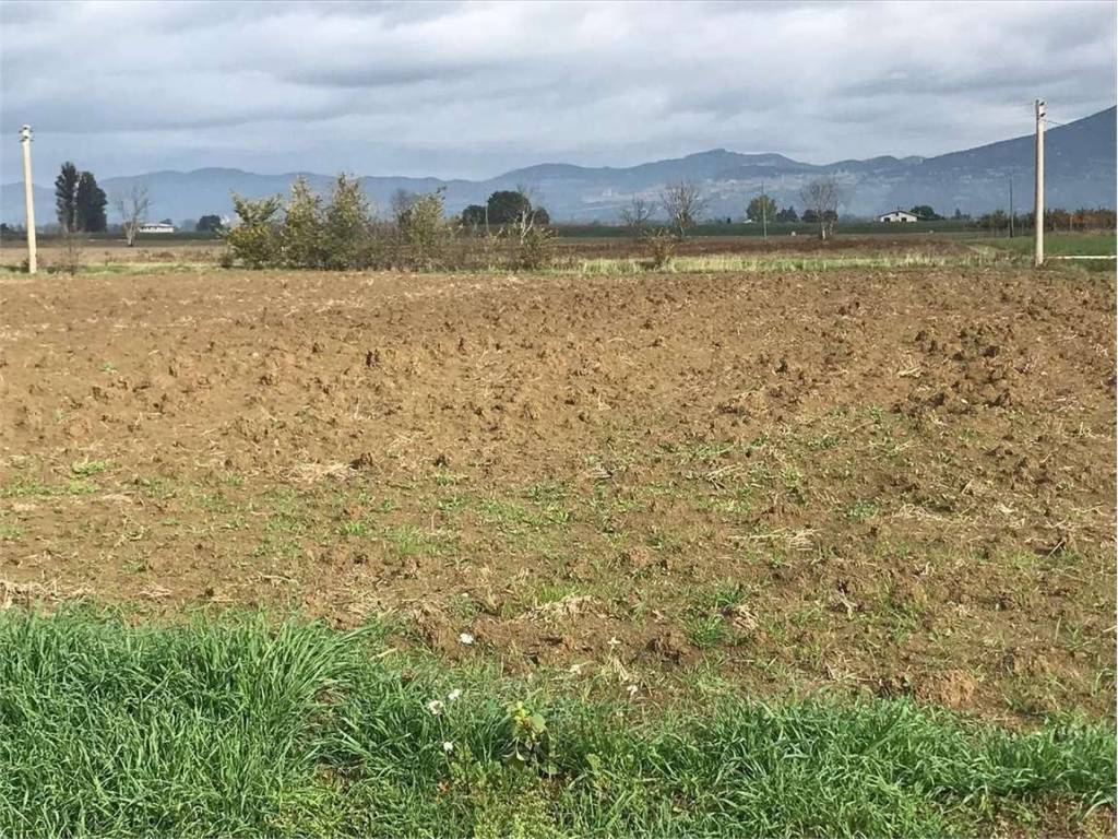 Terreno a Cannara - Foto 5