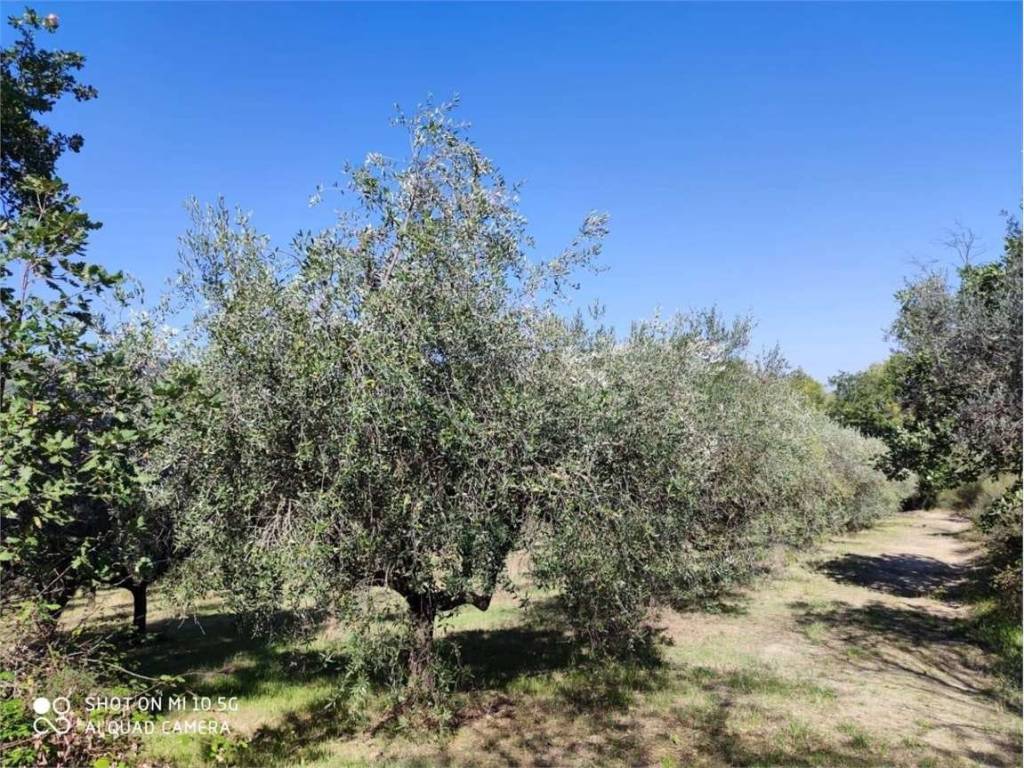 Villa a Bevagna - Foto 3