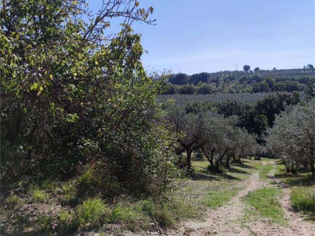 Villa a Bevagna - Foto 5