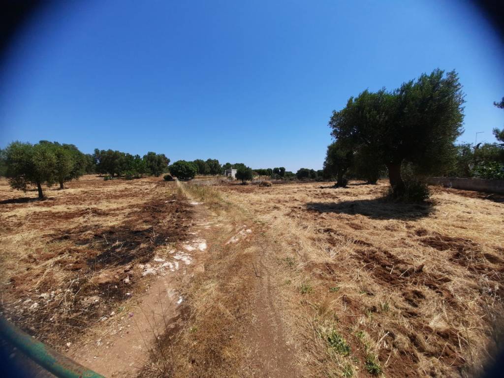 Rustico / casale a Carovigno in Contrada Sperti - Foto 3