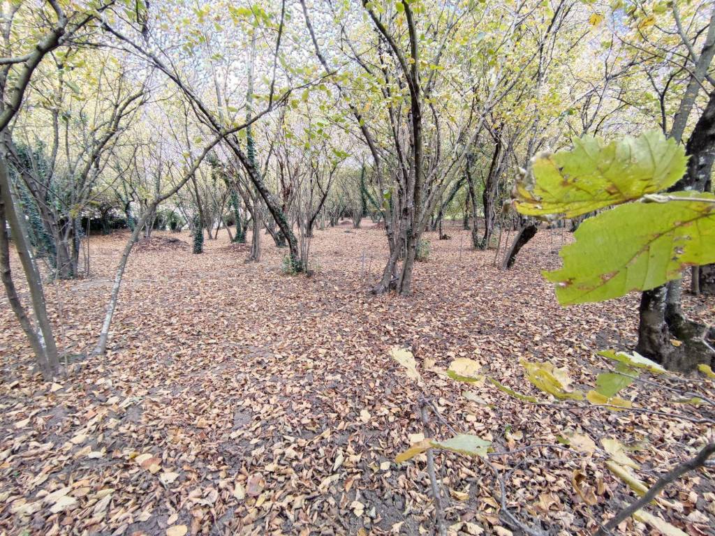 Terreno a Atripalda in Via Serino, 94 - Foto 5