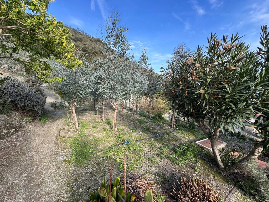 Terreno a Giustenice in Via Fornace - Foto 3