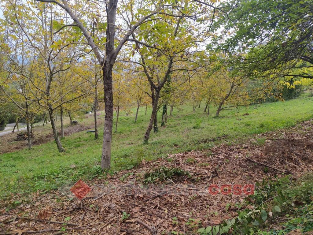 Terreno a Perugia in Monteluce Via Monterone - Foto 3