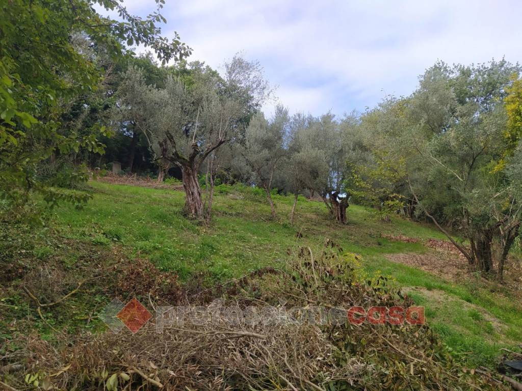 Terreno a Perugia in Monteluce Via Monterone - Foto 5