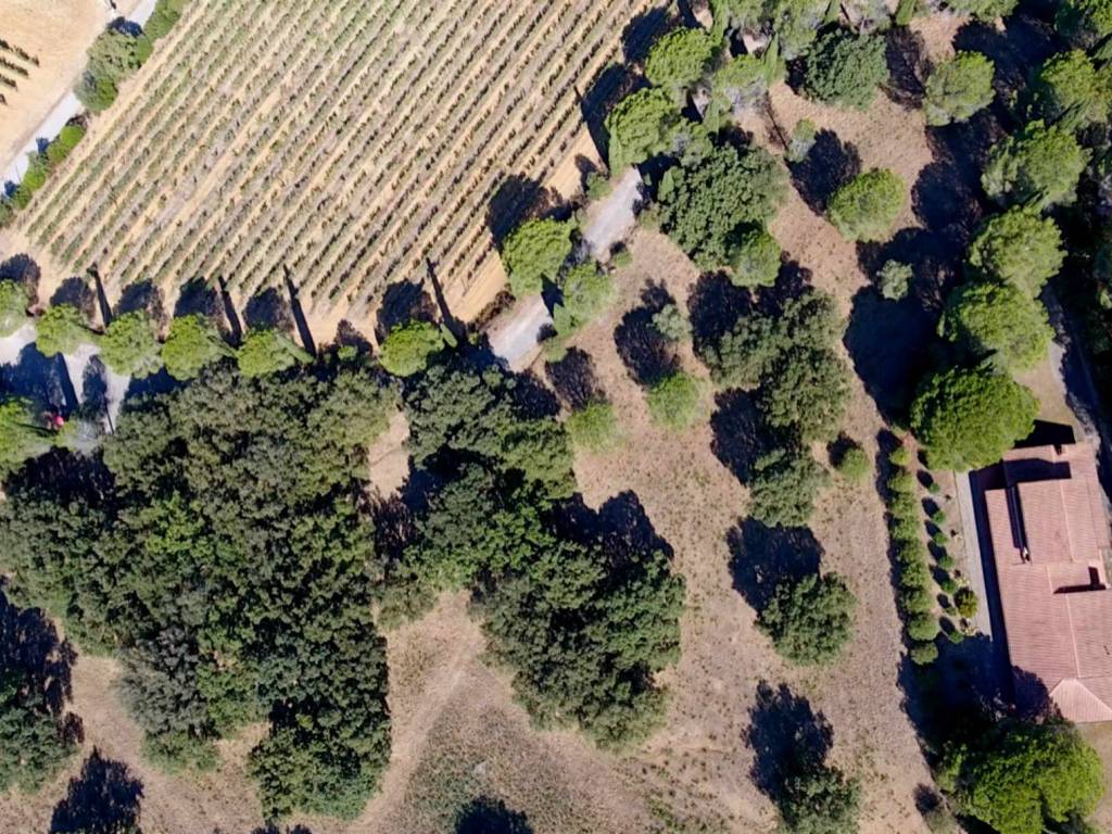 Villa a Castiglione della pescaia - Foto 3