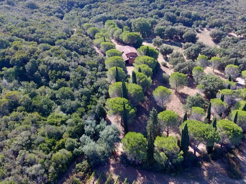 Villa a Castiglione della pescaia - Foto 5