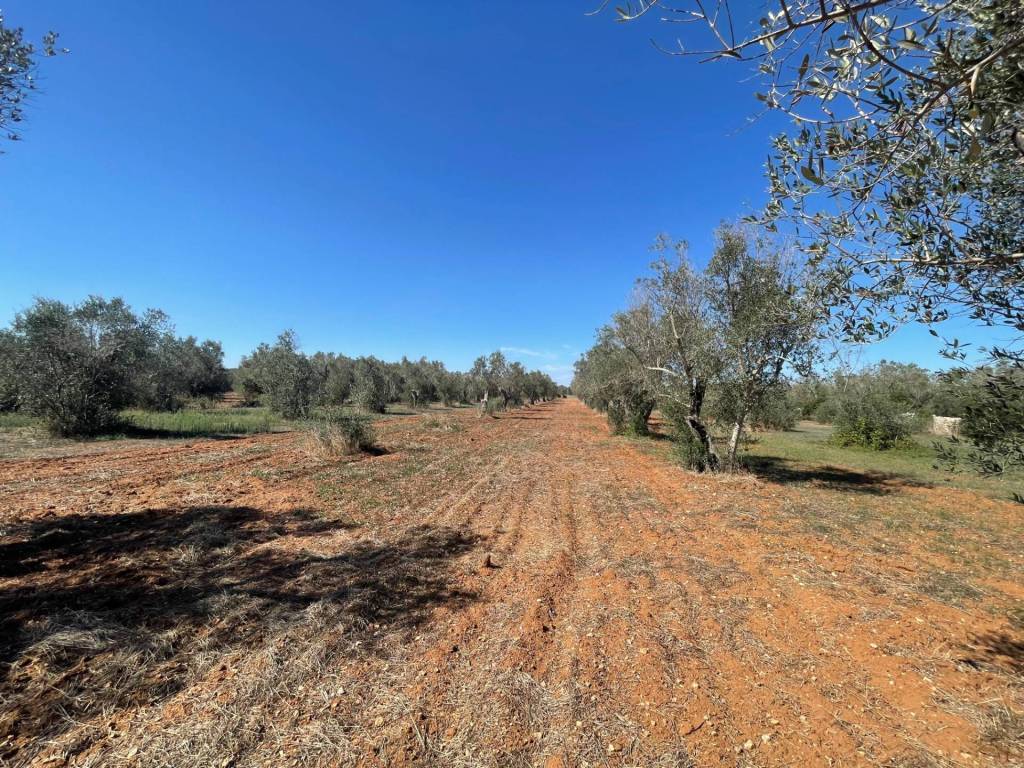 Rustico / casale a Andrano in Via Vecchia Lecce - Foto 2