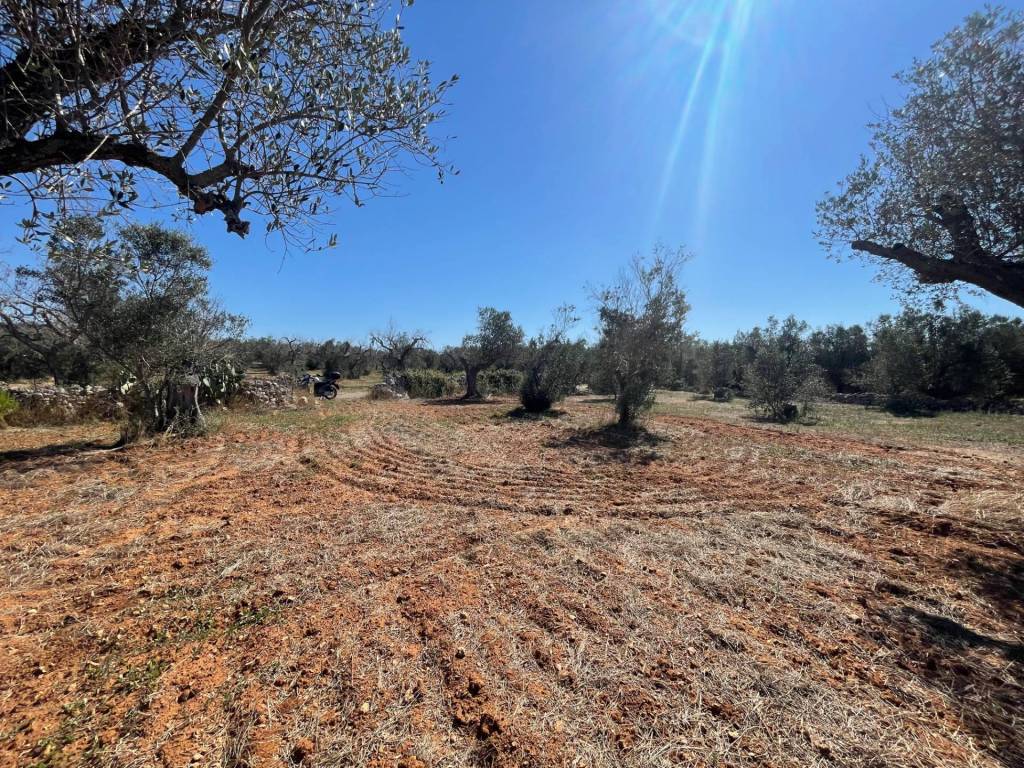 Rustico / casale a Andrano in Via Vecchia Lecce - Foto 4