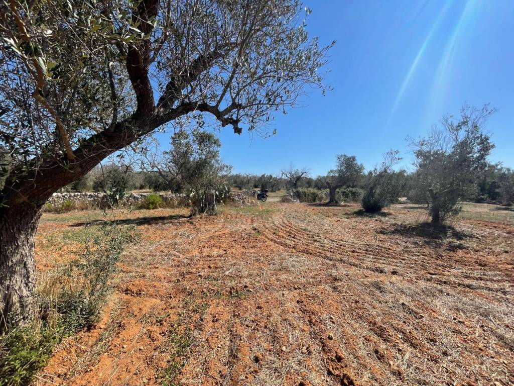 Rustico / casale a Andrano in Via Vecchia Lecce - Foto 5