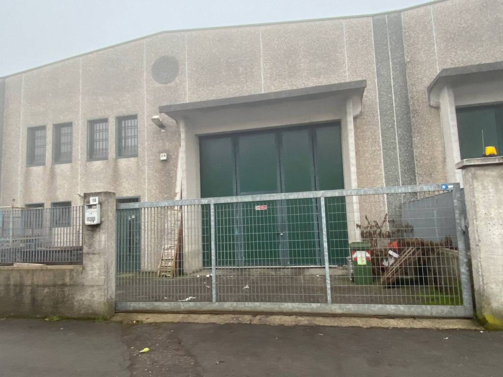 immagine di copertina