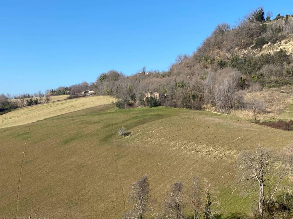 Casa indipendente a Montegiorgio in contrada Monte Verde - Foto 3