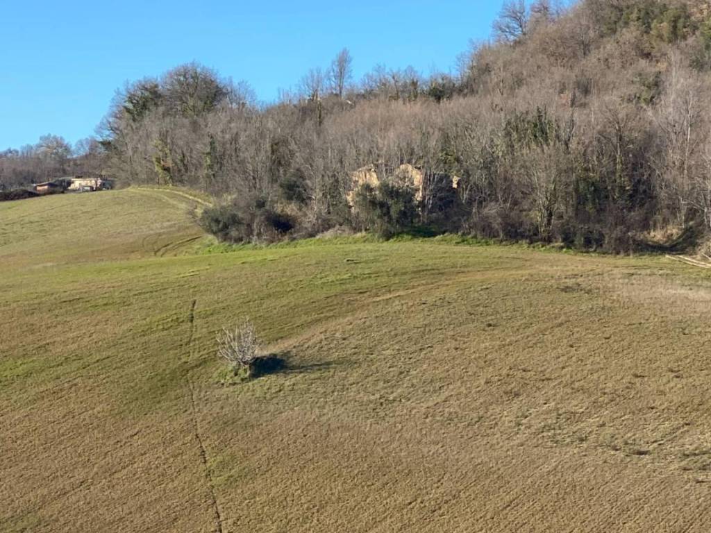 Casa indipendente a Montegiorgio in contrada Monte Verde - Foto 4