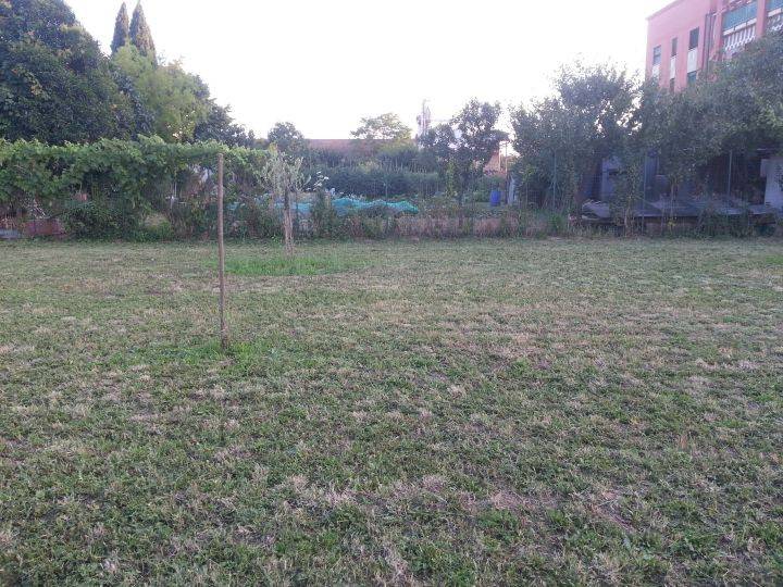 Terreno a Campi bisenzio - Foto 4