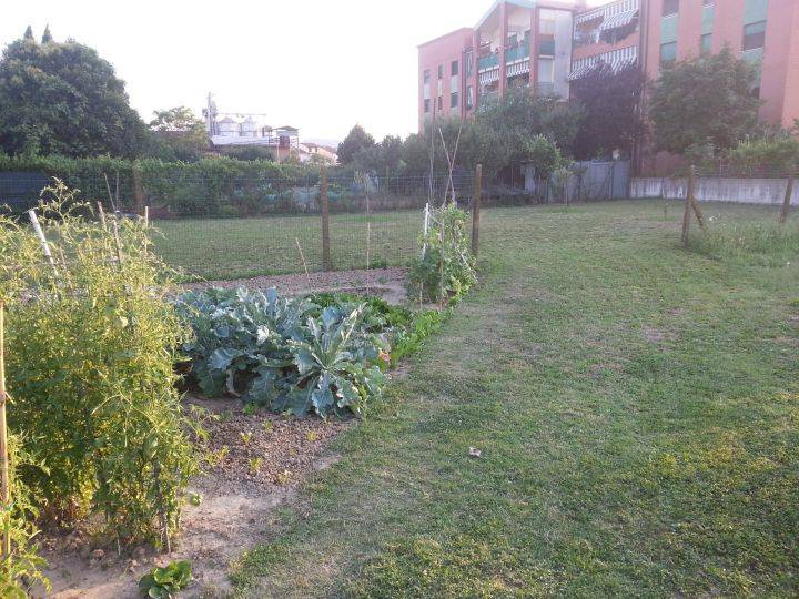 Terreno a Campi bisenzio - Foto 5
