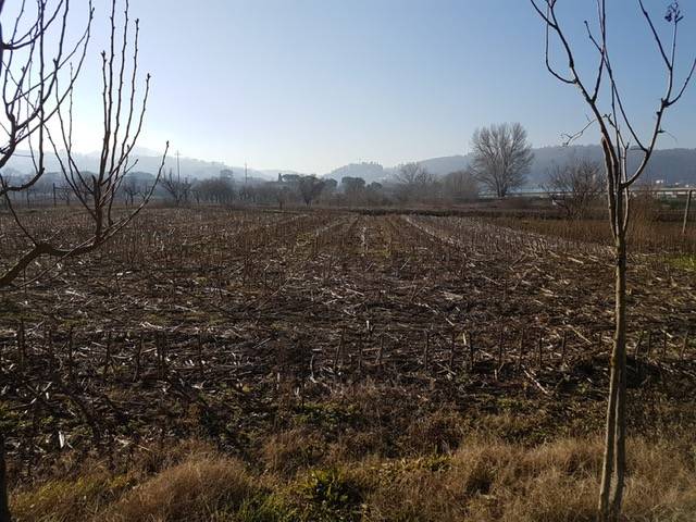 Terreno a Campi bisenzio in Via Crocicchio dell'Oro - Foto 2