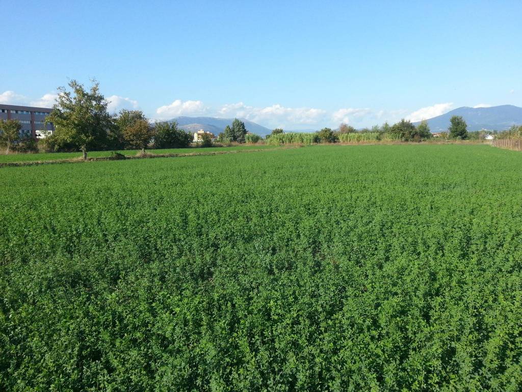 Terreno a Campi bisenzio in Via Crocicchio dell'Oro - Foto 3
