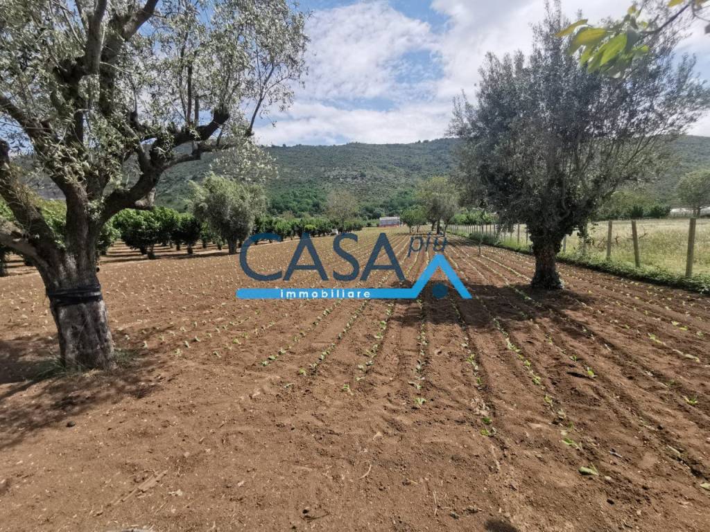 Terreno a Bellona in località pucchetti - Foto 2