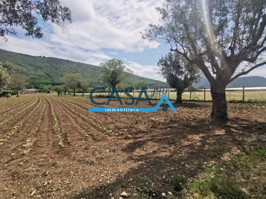 Terreno a Bellona in località pucchetti - Foto 3