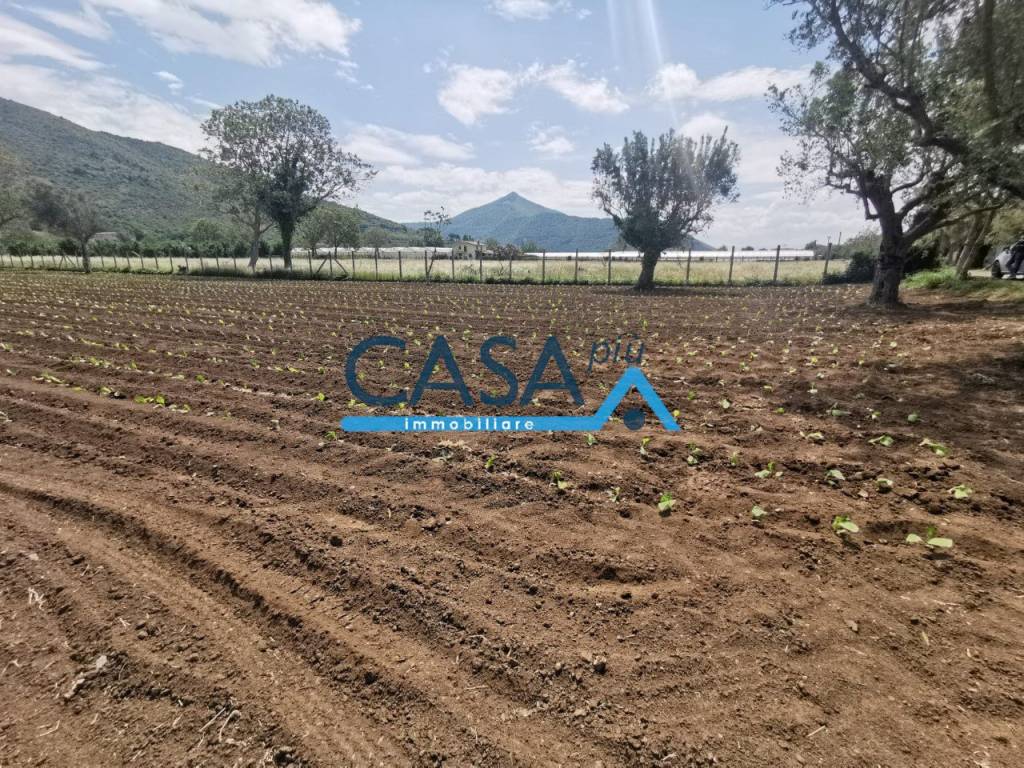 Terreno a Bellona in località pucchetti - Foto 4