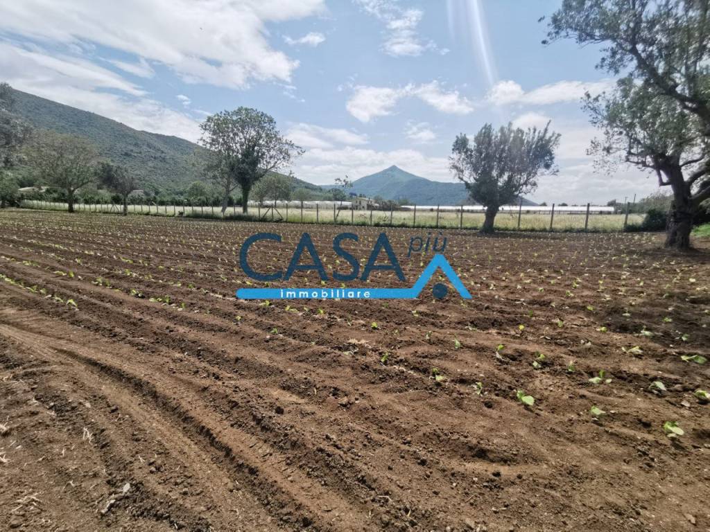 Terreno a Bellona in località pucchetti - Foto 5