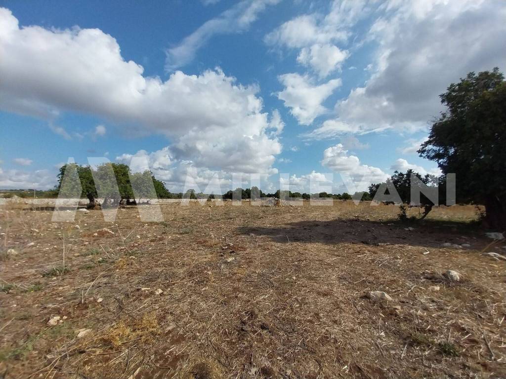 Terreno a Modica in SP86 - Foto 3