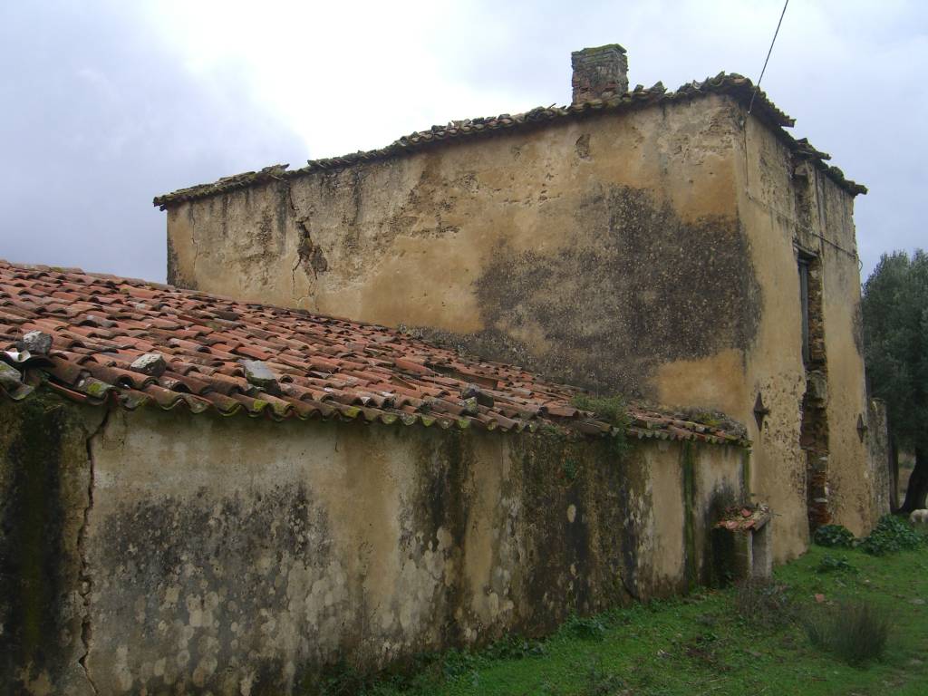 Terreno a Vallo della lucania - Foto 3