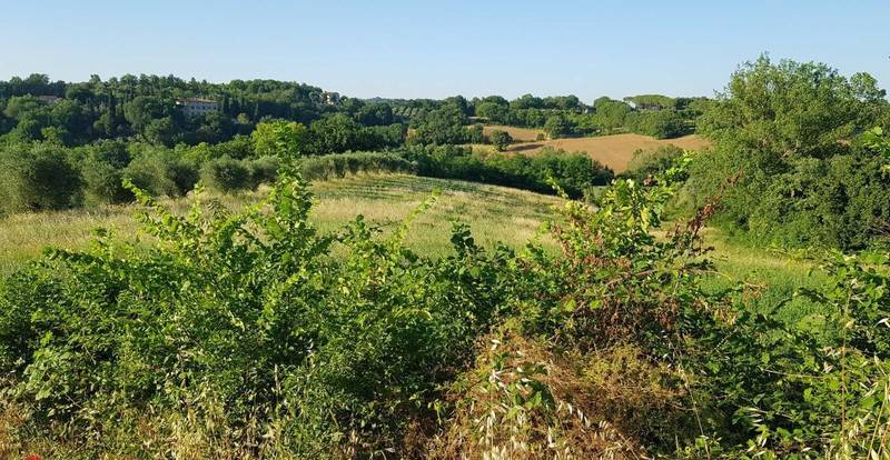 Terreno a Perugia - Foto 4