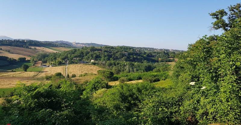 Terreno a Perugia - Foto 5