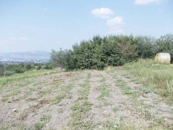 Terreno a Grottaminarda in strada Provinciale 36 - Foto 2